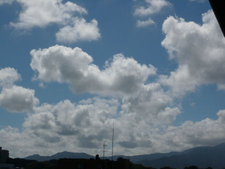 DMC-FX30-1