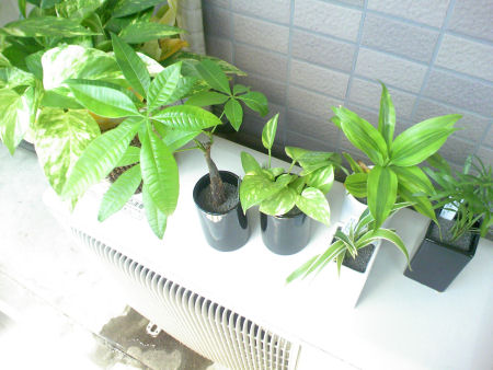 912TCamera-2
