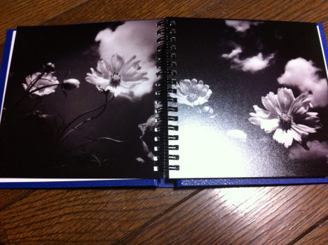 500フォトブック